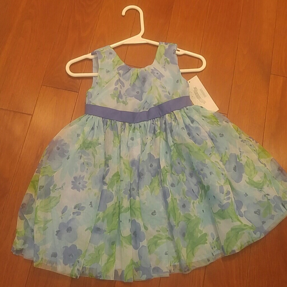 Gymoree Easter/spring/flower girl dress
